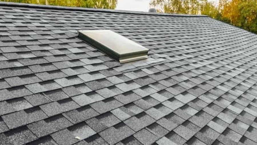 Skylight Installation & Repair 2